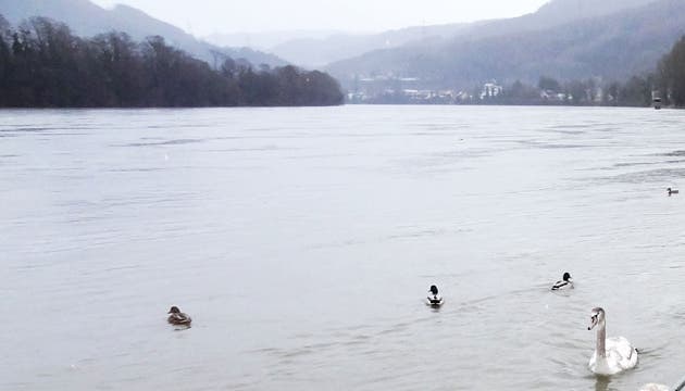 Das Verwaltungsgericht des Kantons Aargau hat entschieden, dass ein Bootssteg in Wallbach am Standort «Brütschengasse» möglich wäre.