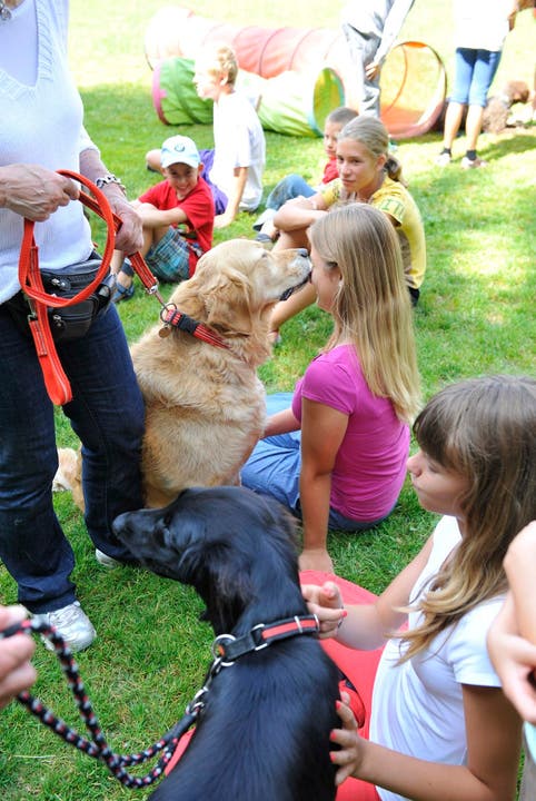Im Ferienplausch-Kurs Büren Oberwil lernen Kinder den richtigen Umgang mit Hunden 05