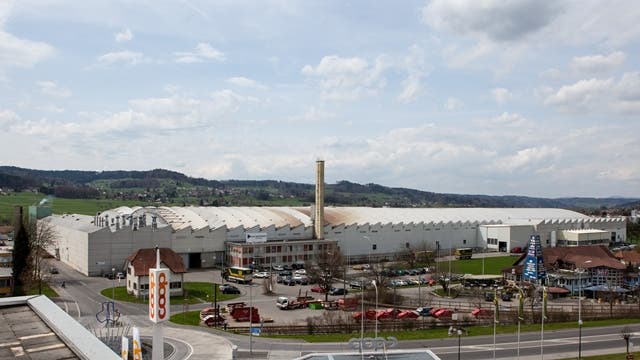Das Werk Reinach der Alu Menziken Extrusion AG liegt im Industriegebiet im Norden von Reinach.