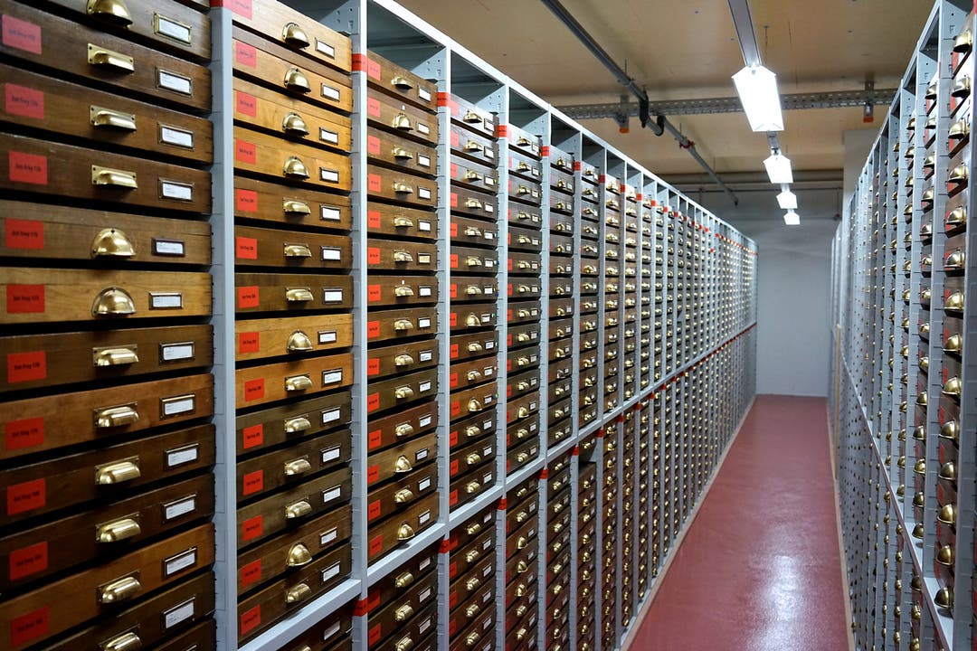 Vom Museum an der Basler Augustinergasse nach Münchenstein gebracht werden unter anderem die Insektensammlung sowie Objekte aus der Mikropaläontologie, Geologie und Wirbeltierpalöontologie.