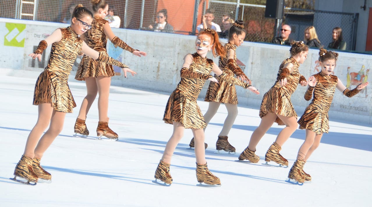 Die Tanzgruppe «Tigers» sorgte für Kurzweil zwischen zwei Einzeldarbietungen.