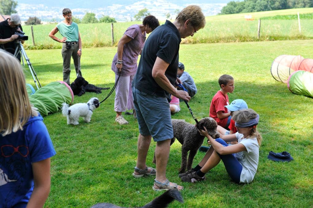 Im Ferienplausch-Kurs Büren Oberwil lernen Kinder den richtigen Umgang mit Hunden 09