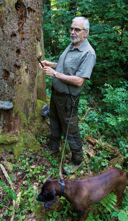 Der Revierförster Philippe Vock erklärt, wie auf einem sterbenden Baum neues Leben entsteht.Christoph Voellmy