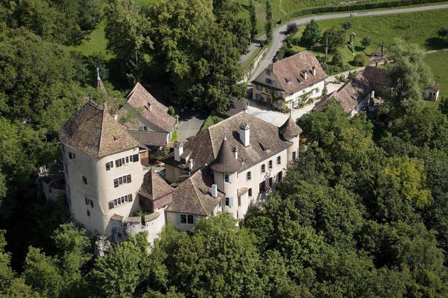 Schloss Wildenstein.