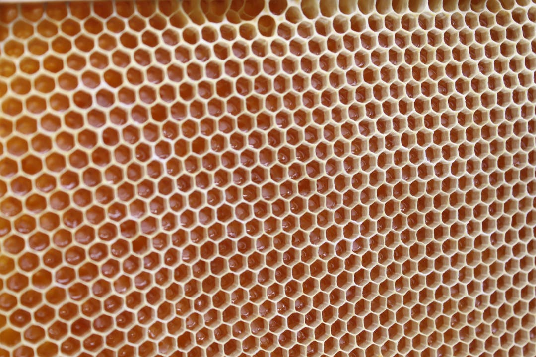 Der Honig glänzt