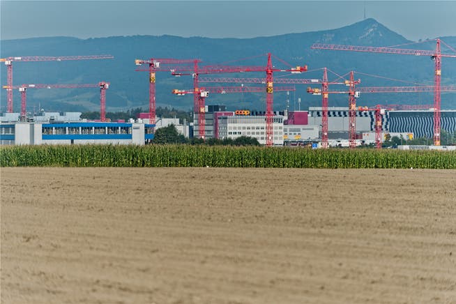 Lohndumping auf der Baustelle des neuen Verteilzentrums von Coop in Schafisheim AG: Coop will den Vorwürfen nachgehen.Emanuel Freudiger