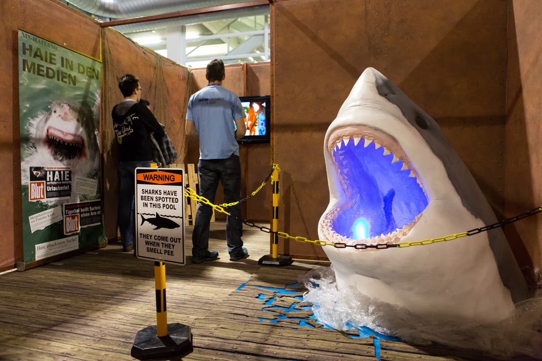 Informationen über Haifische erhalten die Besucher in Zürich.