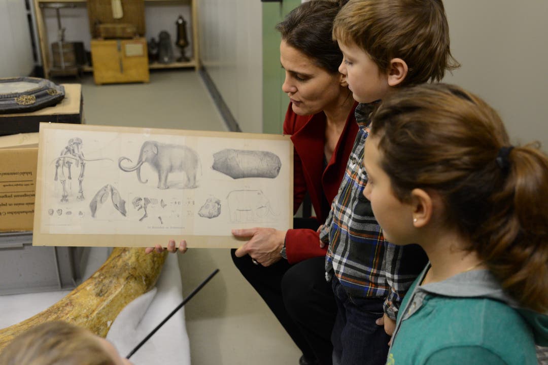 Einen echten Mammutknochen zum Anfassen gibt es im Archiv