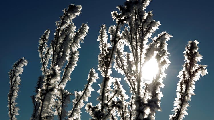Kältenester liegen im Jura - Weihnachten wirds auch im Aargau richtig kalt