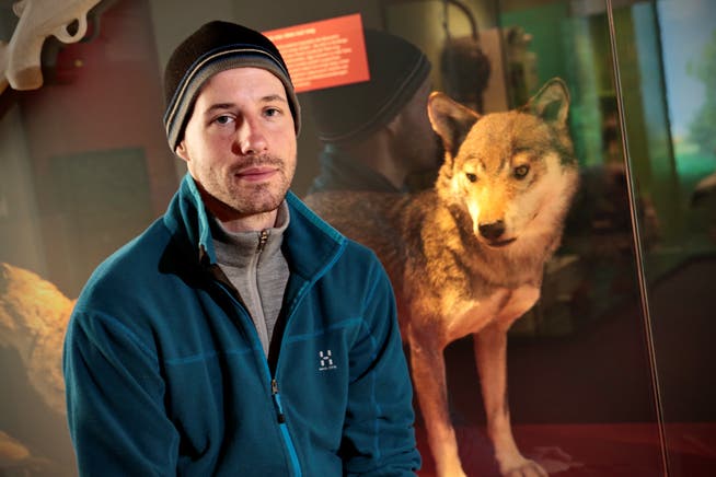David Gerke vor dem Wolf des Solothurner Naturmuseums.