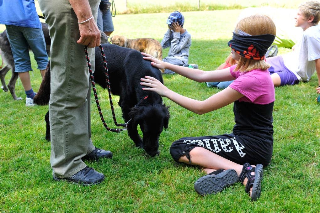 Im Ferienplausch-Kurs Büren Oberwil lernen Kinder den richtigen Umgang mit Hunden 11