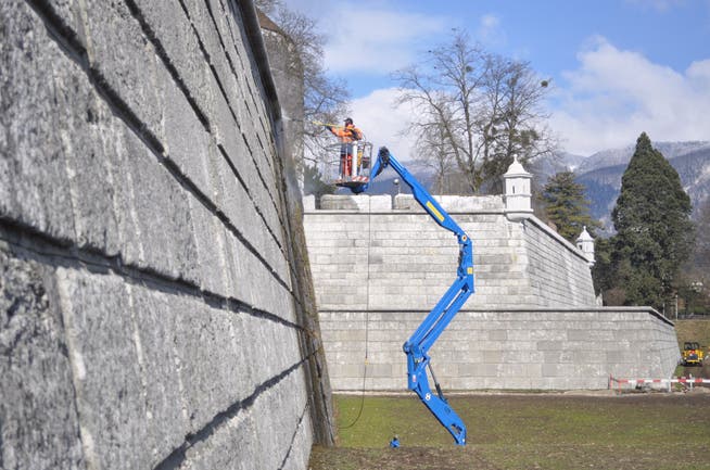 Das Solothurner Stadtbauamt befreit die Schanzenmauer von Auswüchsen.