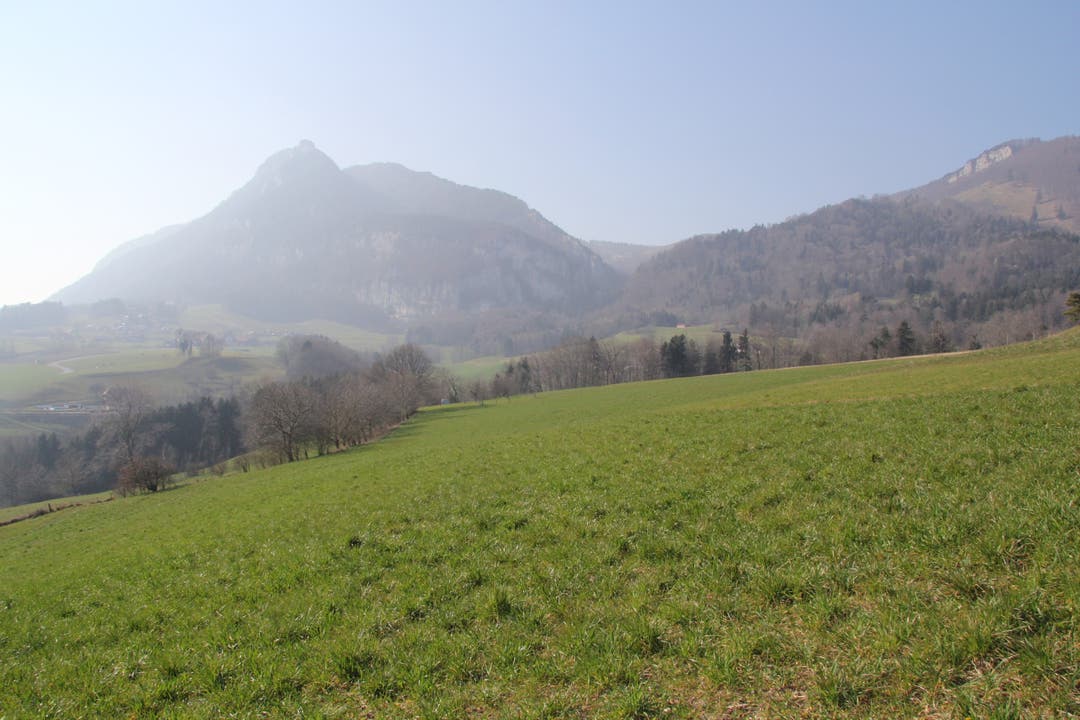Eine Wiese bei Günsberg