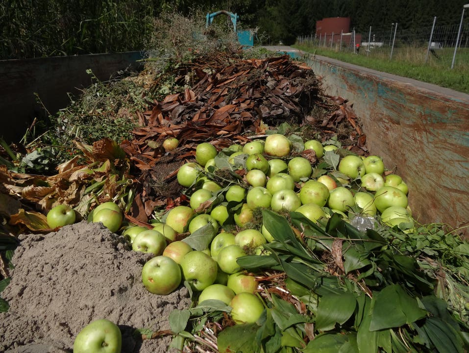 Verrusste Äpfel in dem von der Gemeinde zur Verfügung gestellten Container entsorgt
