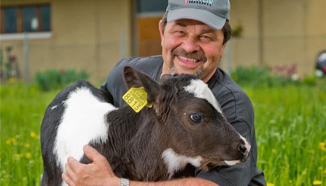 Andreas Hitz mit Vesna, dem herzigen Holstein-Kälbchen, das heute vor drei Wochen zur Welt gekommen ist. Emanuel Per Freudiger
