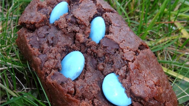 Verdächtige Klumpen mit blauen Tabletten wurden in Wittnau entdeckt (diese Aufnahme ist nachgestellt). – Foto: chr
