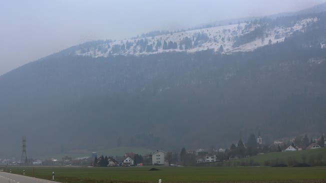 Der Vorder Brandberg in Herbetswil, hier von der Thalstrasse aus gesehen, ist ein typisches Beispiel für eine Juraweide, deren Name auf die ursprüngliche Brandrodung zurückgeht.HR. Aeschbacher