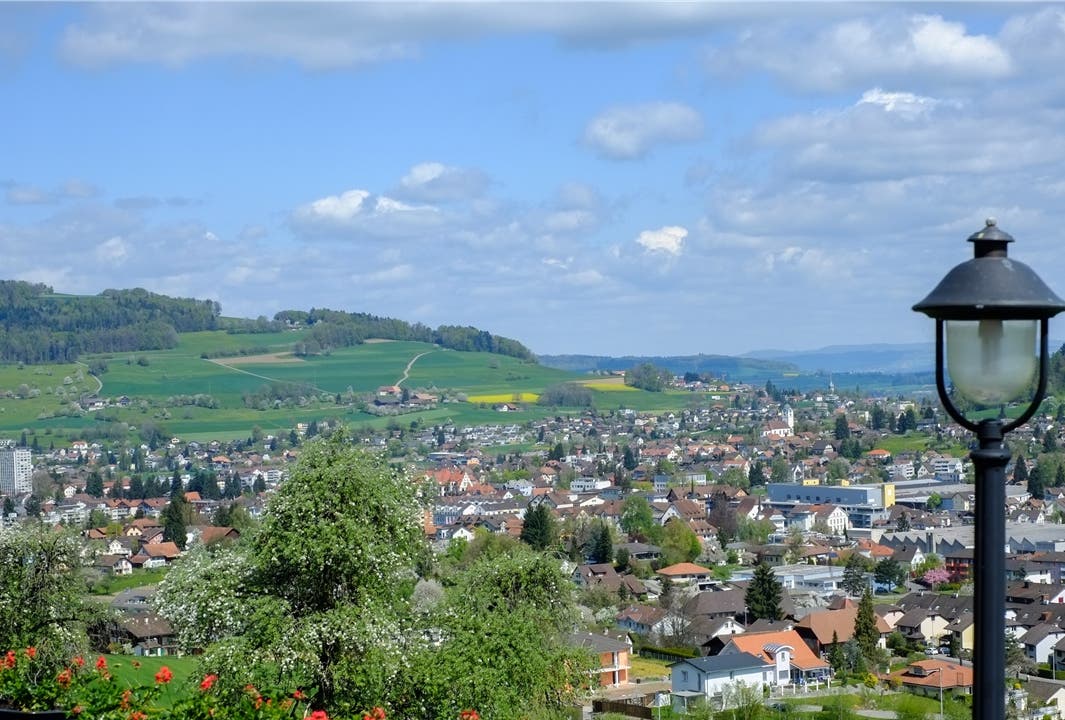 Von der Waldegg aus erscheint der Homberg als sanfter Hügel.