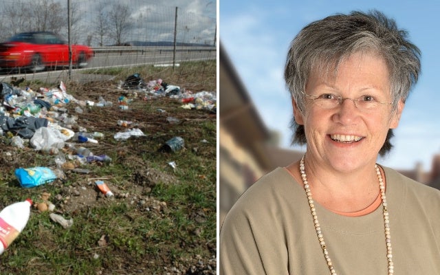 Grossrat - Vorstoss Gegen Littering: Kampf Dem Abfall Am Strassenrand