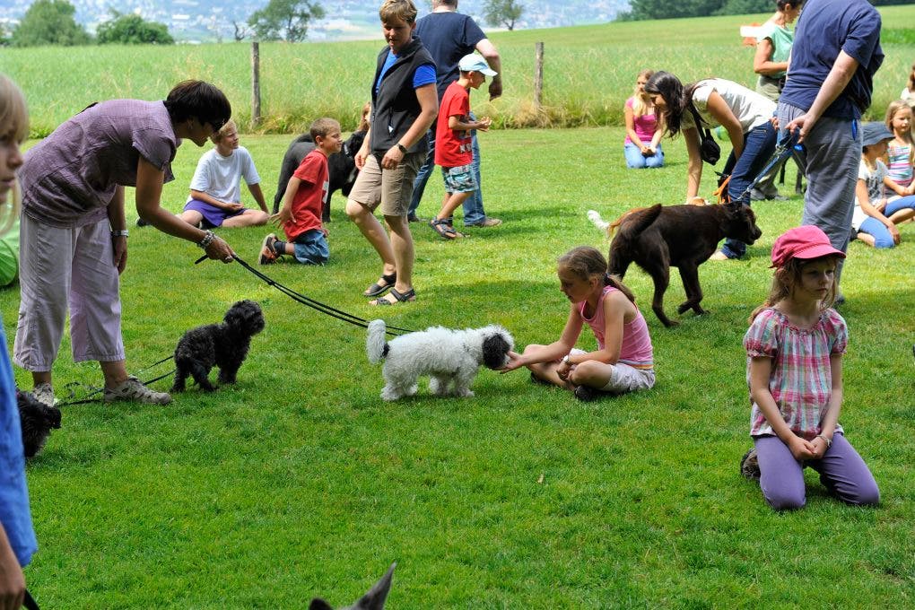 Im Ferienplausch-Kurs Büren Oberwil lernen Kinder den richtigen Umgang mit Hunden 20