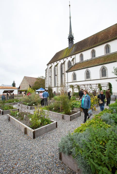 Der Klostergarten Königsfelden mit verschiedenen Heilkräutern