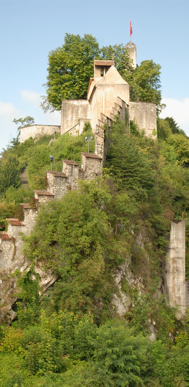 Auf Schloss Stein wird die «Erklärung von Baden» lanciert.