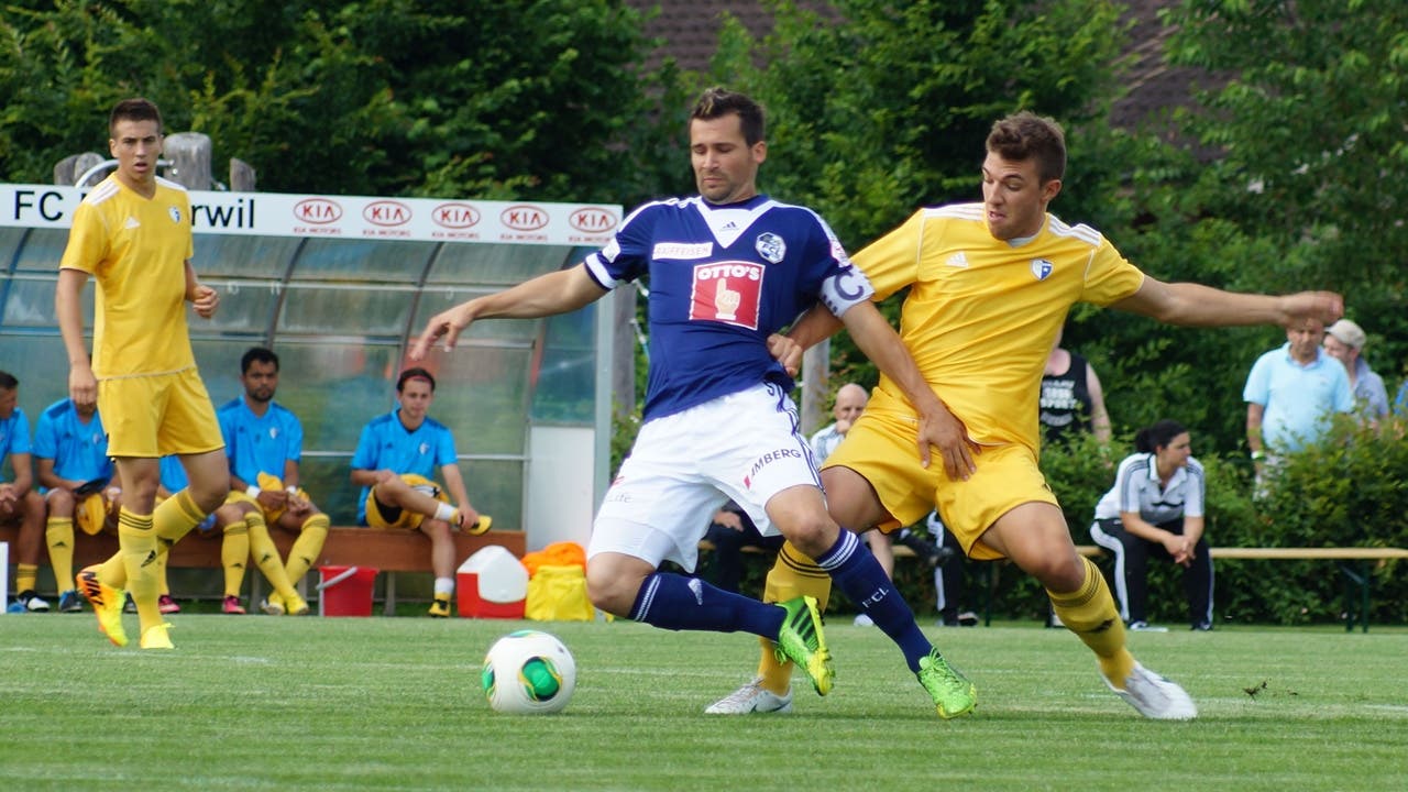 Wohlens Stefano Milani gegen Luzerns Captain Michel Renggli.