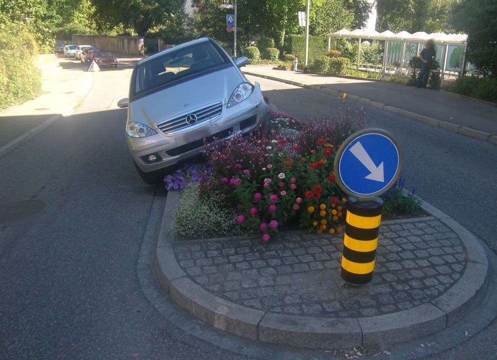 Frau parkiert ihr Auto unsanft in der Blumenrabatte