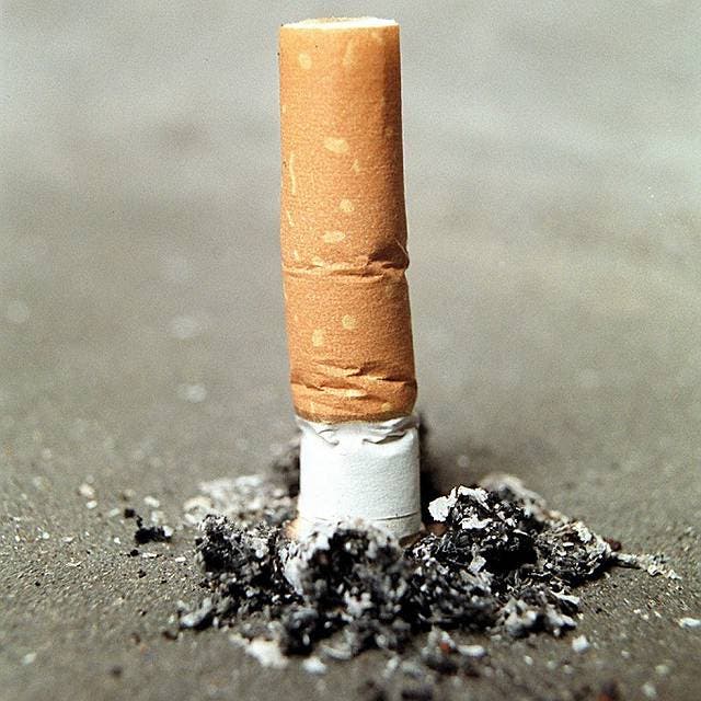 Eine unsachgemässe Entsorgung kann schwerwiegende Folgen haben: Zigarettenstummel. (Symbolbild)