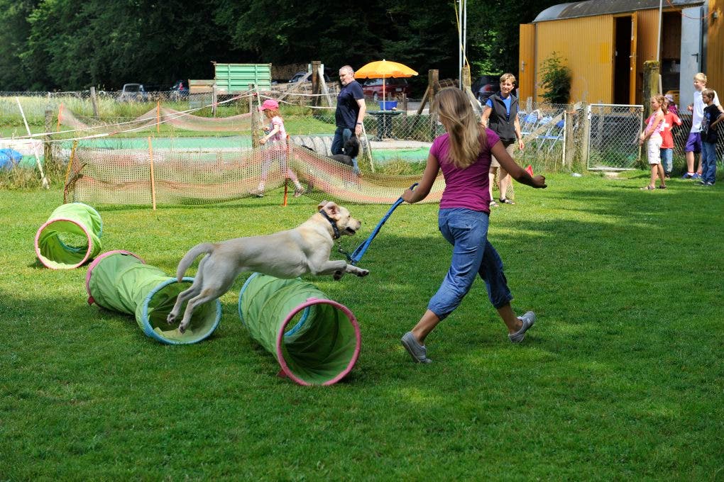 Im Ferienplausch-Kurs Büren Oberwil lernen Kinder den richtigen Umgang mit Hunden 16