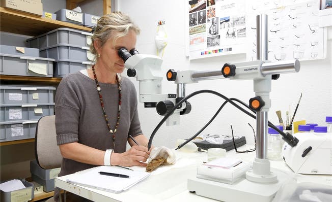 Susanne Roth arbeitet mithilfe eines Binokulars an einem der Fundstücke aus Grenchen – einer Gürtelschnalle.