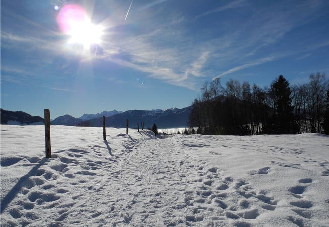 Pünktlich zu den Sportferien gibt es auch auf dem Weissenstein ein neues Wintersport-Angebot.