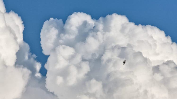 Um das Weltklima zu verstehen, werden Wolken in Dosen gebastelt