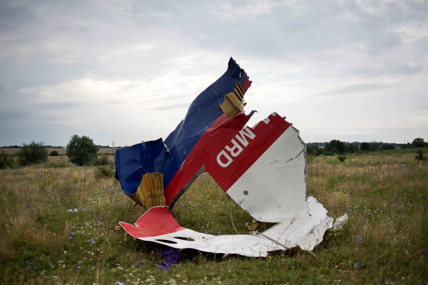 Bildstrecke - Flugzeugabsturz In Der Ukraine