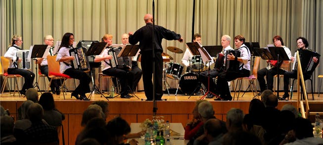Ein Bild aus besseren Tagen: das Handharmonika-Orchester Olten im November 2012 beim Konzert im Saal der Pauluskirche. Bruno Kissling