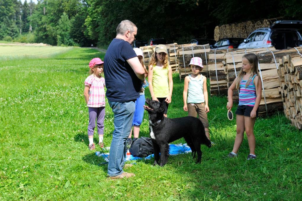 Im Ferienplausch-Kurs Büren Oberwil lernen Kinder den richtigen Umgang mit Hunden 12