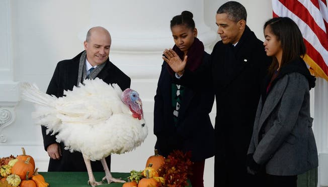 Thanksgiving - Feiertag für die Menschen – schwarzer Tag für Truthähne