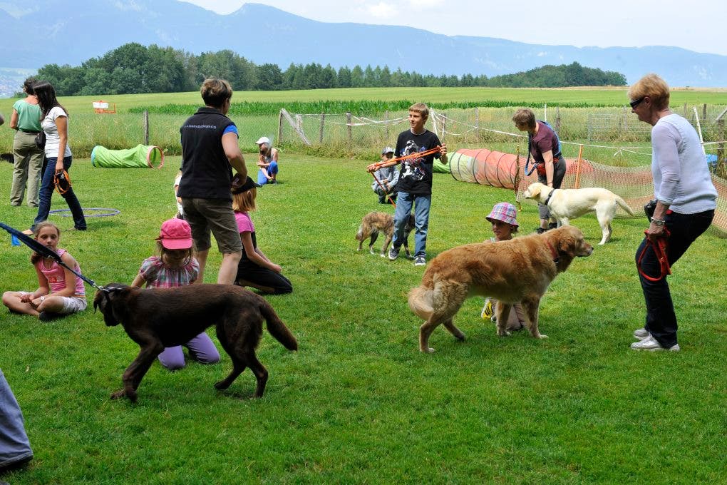 Im Ferienplausch-Kurs Büren Oberwil lernen Kinder den richtigen Umgang mit Hunden 21