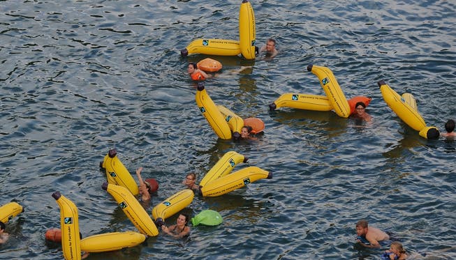 Lockt viele Leute in den Rhein: Das offizielle Rheinschwimmen.