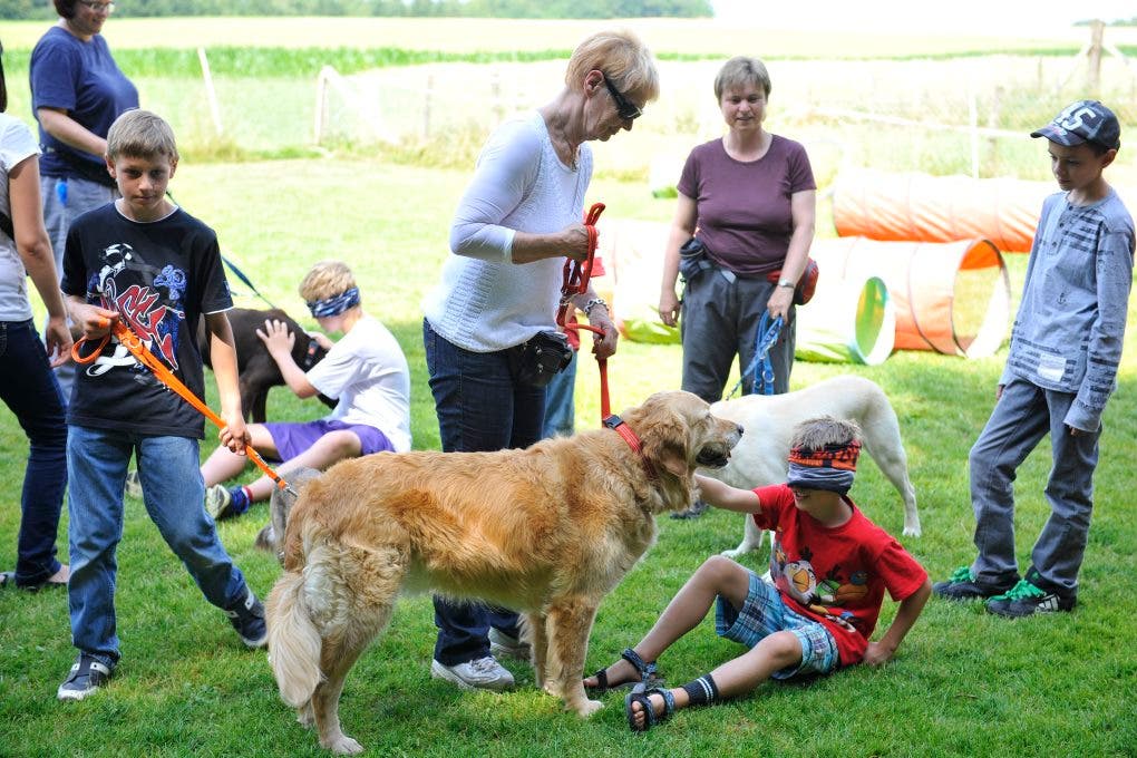 Im Ferienplausch-Kurs Büren Oberwil lernen Kinder den richtigen Umgang mit Hunden 13