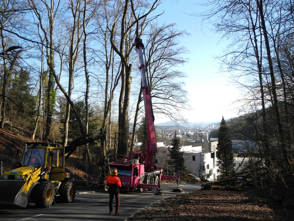 Holzschläge an der Kennelgasse in Baden