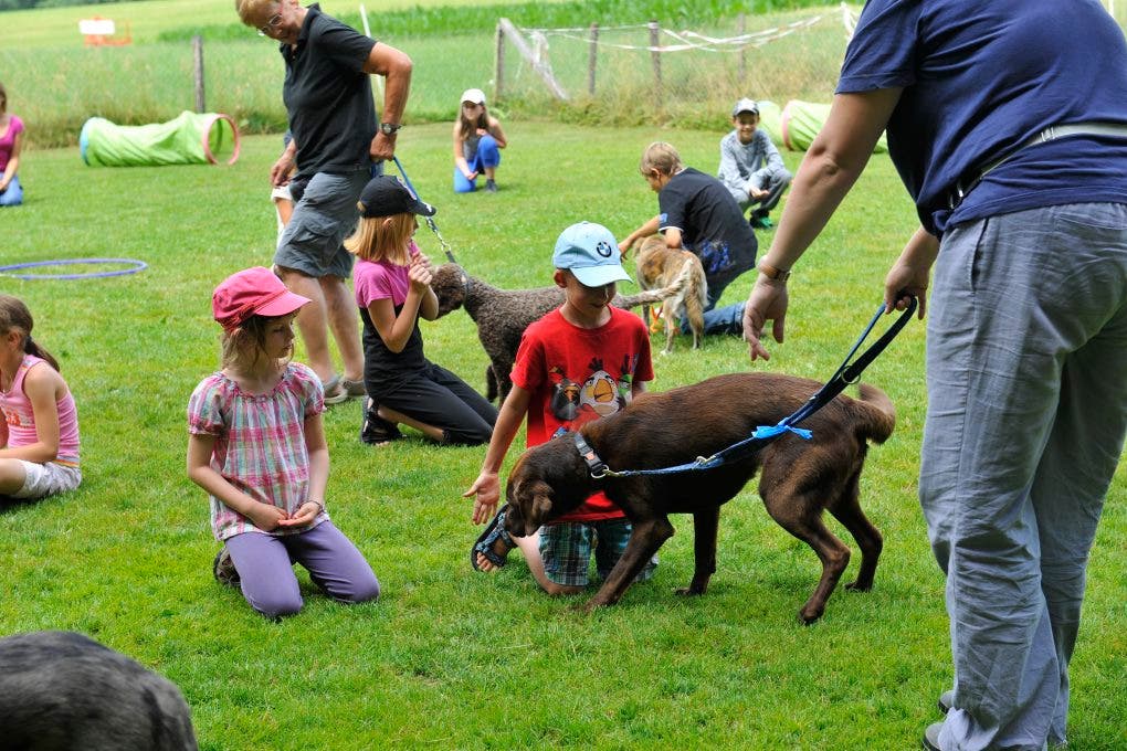 Im Ferienplausch-Kurs Büren Oberwil lernen Kinder den richtigen Umgang mit Hunden 22