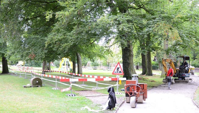 Der Trampelpfad im Rathausgarten wird mit Rollrasen bedeckt, die Passanten sollen auf den regulären Weg umgewöhnt werden. Noëlle König