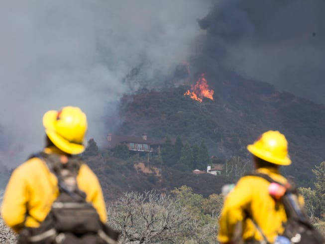 Feuerwehrleute beobachten einen Waldbrand. Foto: Ringo H.W. Chiu/AP/dpa
