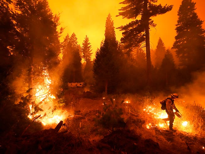 dpatopbilder - Ein Feuerwehrmann ist bei einem Waldbrand im Einsatz. In ganz Kalifornien waren laut einem Lagebericht der Feuerwehr von Sonntag zuletzt mehr als 14 800 Einsatzkräfte damit beschäftigt, 23 grössere Brände einzudämmen. Foto: Marcio Jose Sanchez/AP/dpa