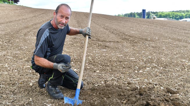 Zwischen 2015 und 2017 stellte Toni Bucher seinen Hof auf biologische Landwirtschaft um.