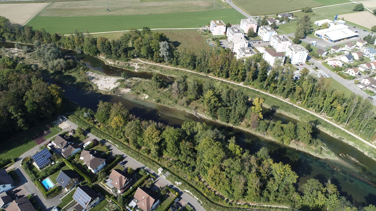 Zwischen der Aare und den Wässerig-Liegenschaften (links unten) in Obergösgen wurde ein Schutzdamm errichtet.