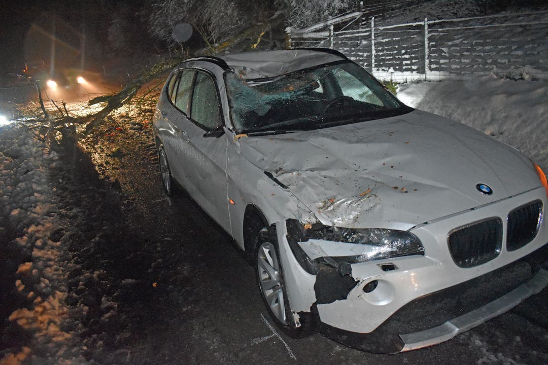 Ebersecken: Ein Baum stürzte auf ein Auto. Der Autofahrer blieb unverletzt. Der Sachschaden beträgt 10'000 Franken. 
