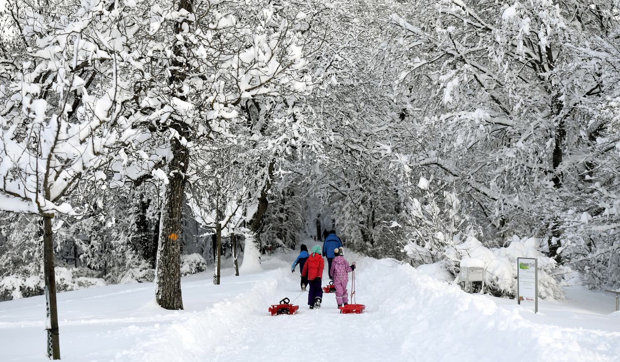 Impressionen des Schneeparadieses auf der Baldegg in Baden.