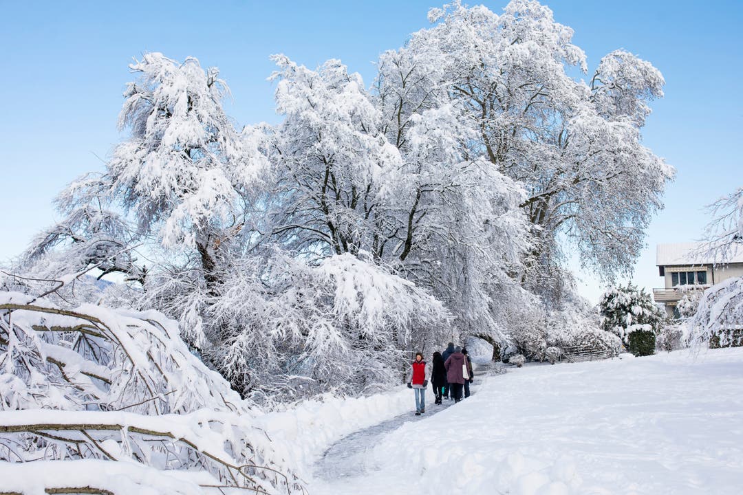 Das lud zu einem winterlichen Spaziergang im Schnee …